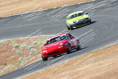 media/May-06-2023-Lucky Dog Racing (Sat) [[8f2256f436]]/Turn 2 10a/